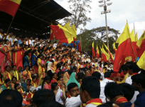 pro-kannada protest 2017