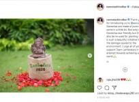 Namrata Shirodkar's post on eco-friendly Ganesha
