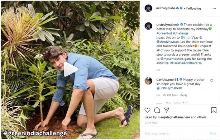 Mahesh Babu planting sapling Mahesh Babu planting sapling