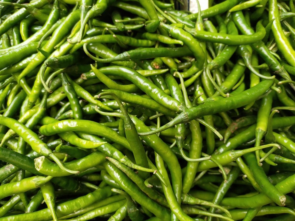 Oppo Reno 4 Pro camera samples Oppo Reno 4 Pro camera samples