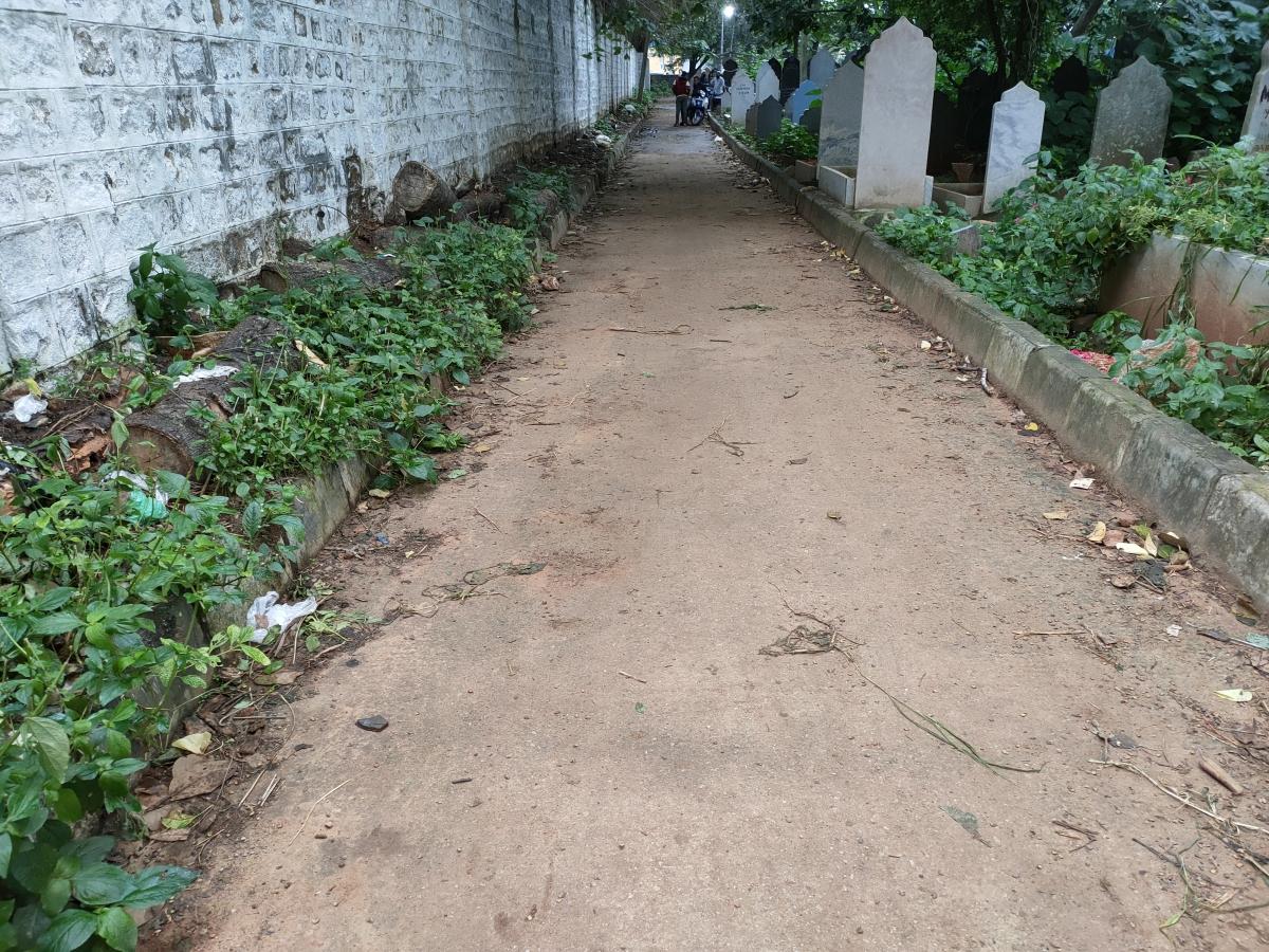 Oppo Reno 4 Pro camera samples Oppo Reno 4 Pro camera samples