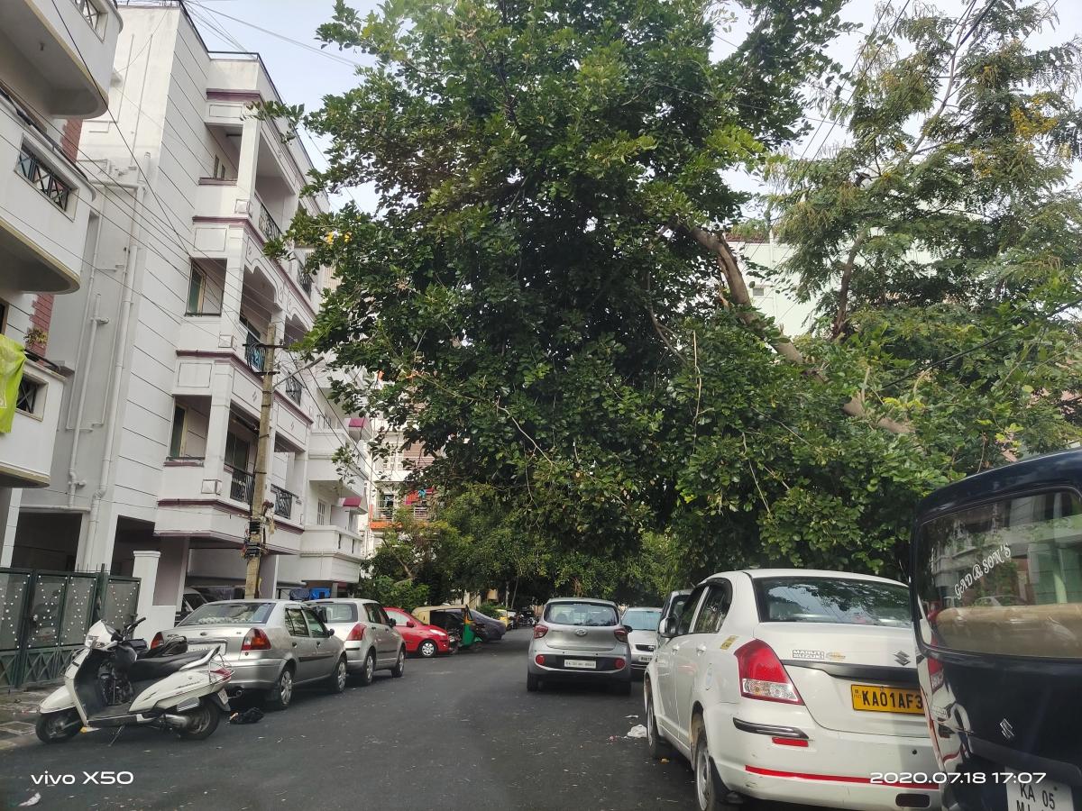 Vivo X50 camera samples