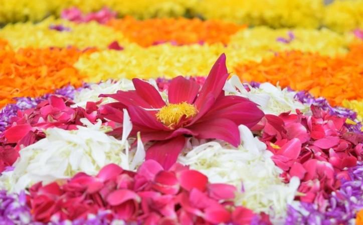 Flower carpet Flower carpet