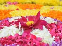 Flower carpet
