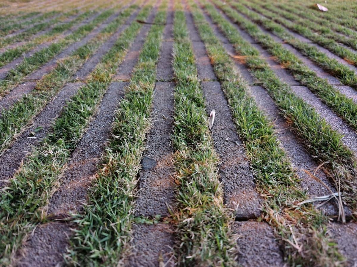 Samsung Galaxy Note 20 Ultra 5G camera review