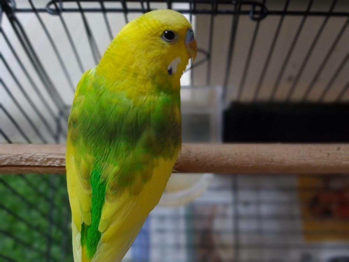 Samsung Galaxy Note 20 Ultra 5G camera review