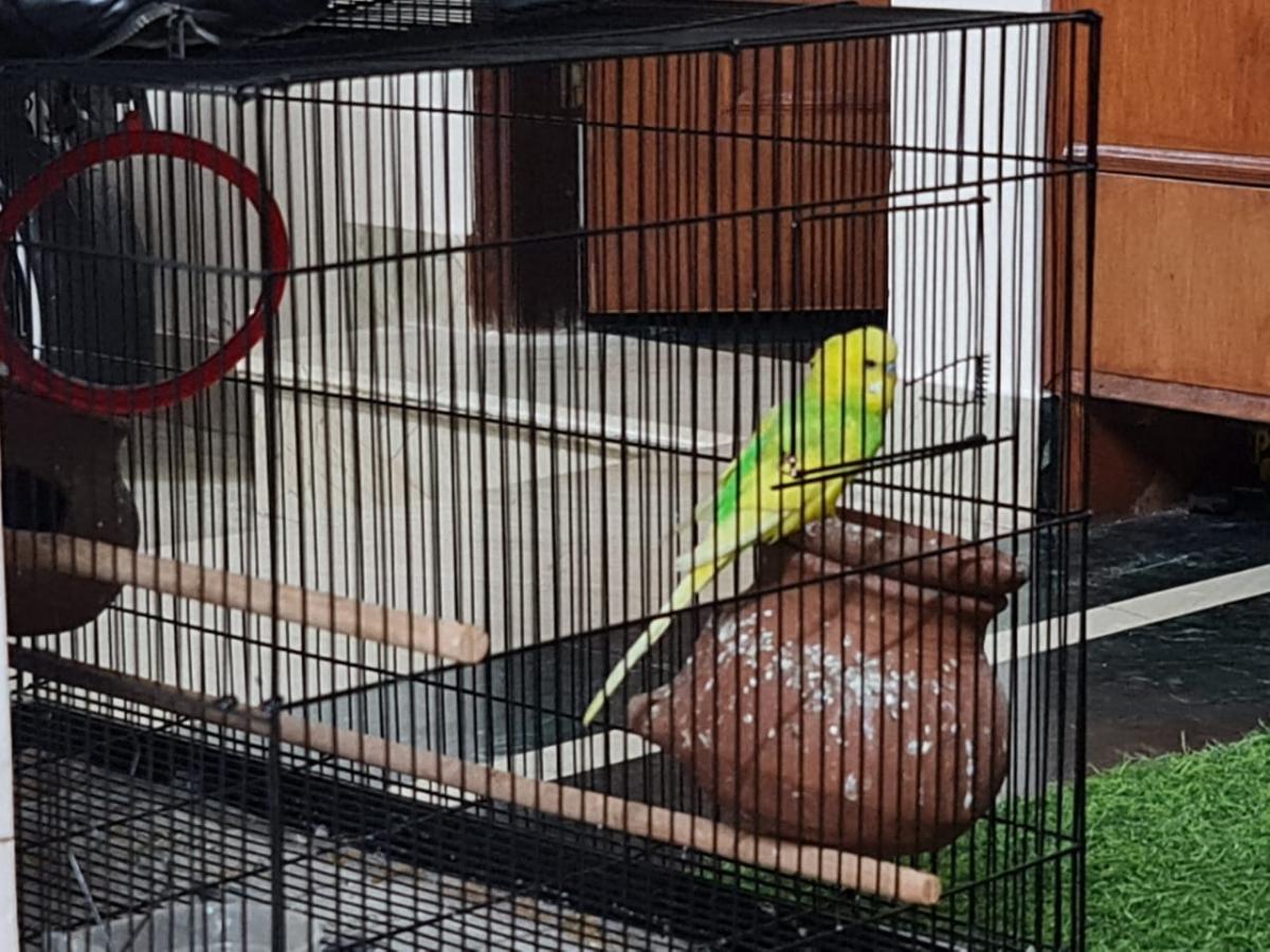 Samsung Galaxy Note 20 Ultra 5G camera review