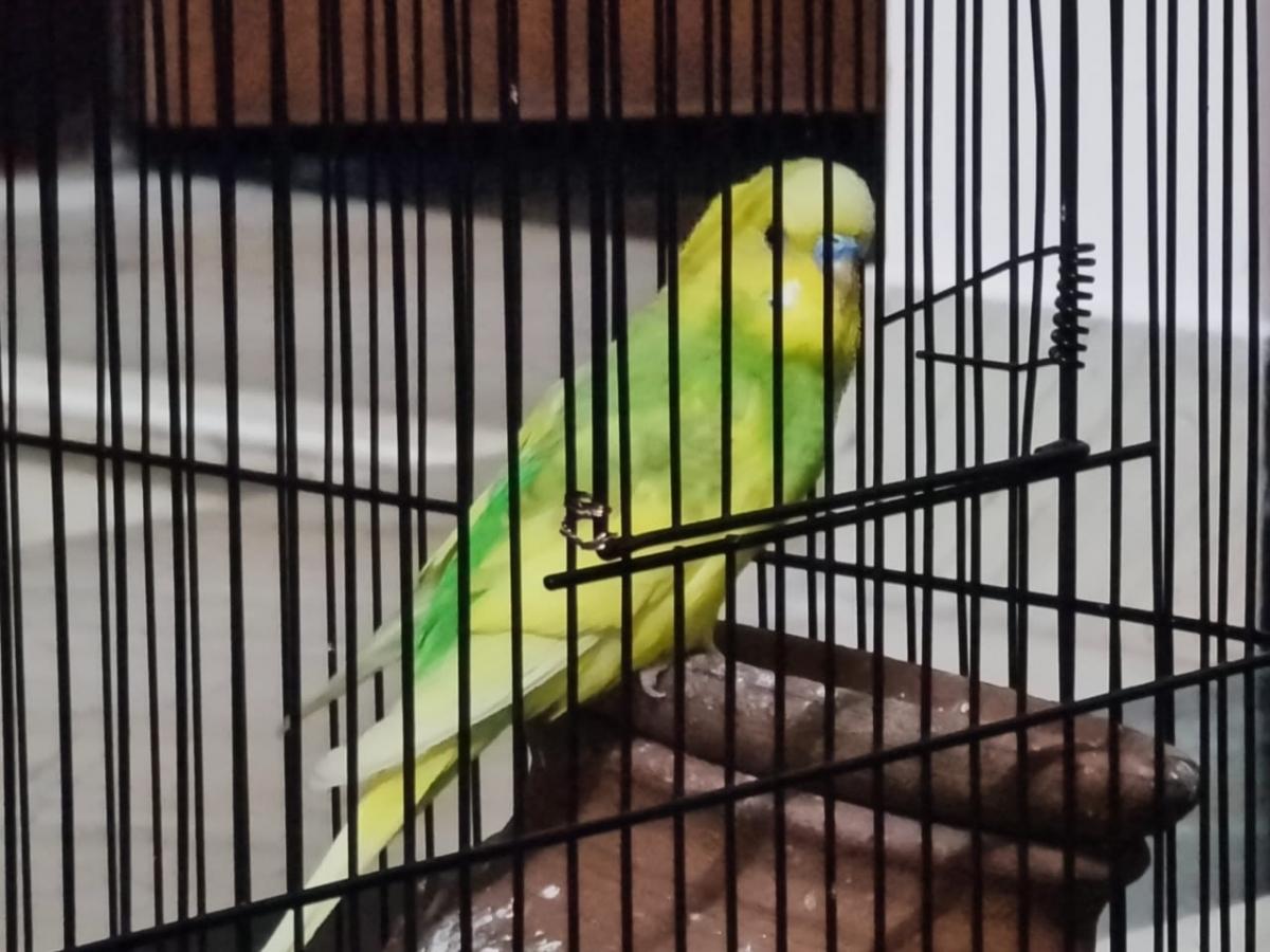 Samsung Galaxy Note 20 Ultra 5G camera review