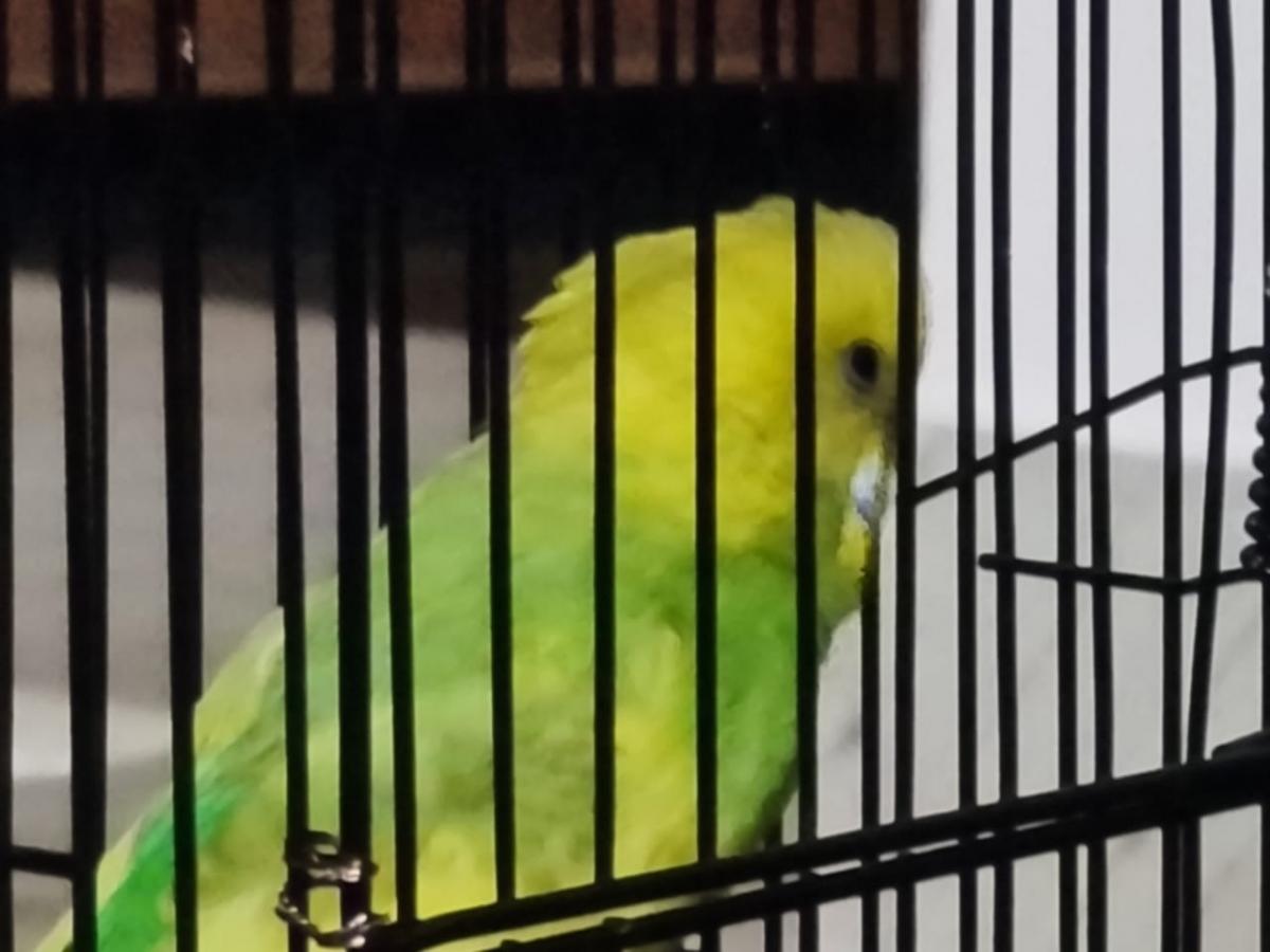 Samsung Galaxy Note 20 Ultra 5G camera review