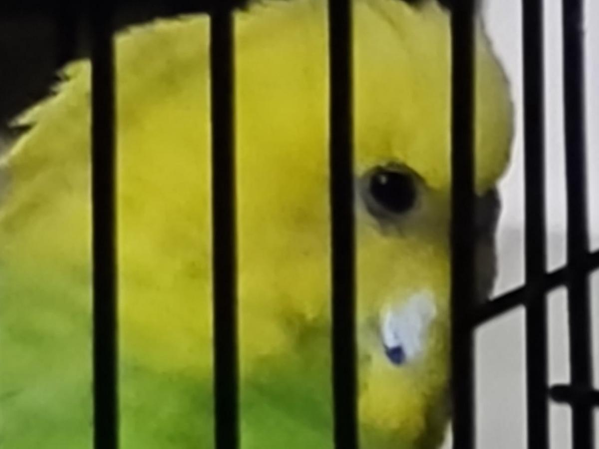 Samsung Galaxy Note 20 Ultra 5G camera review