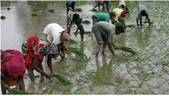 Nearly half of India's 1.38 billion population rely on agriculture to survive, with the sector accounting for 15% of its economic output. Economy slowdown