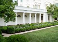 Rose Garden, White House