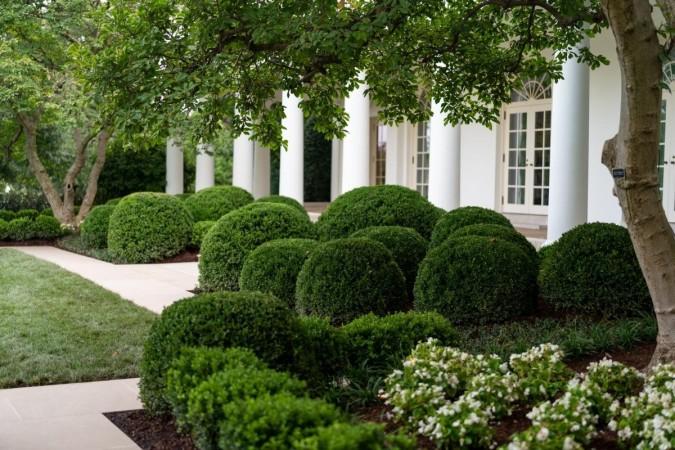 Rose Garden, White House Rose Garden, White House