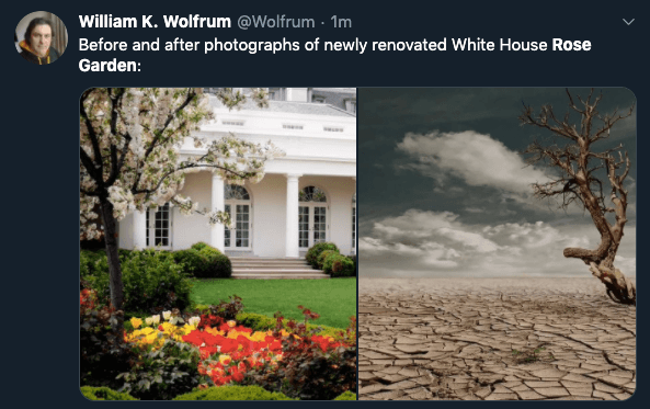 Rose Garden, White House