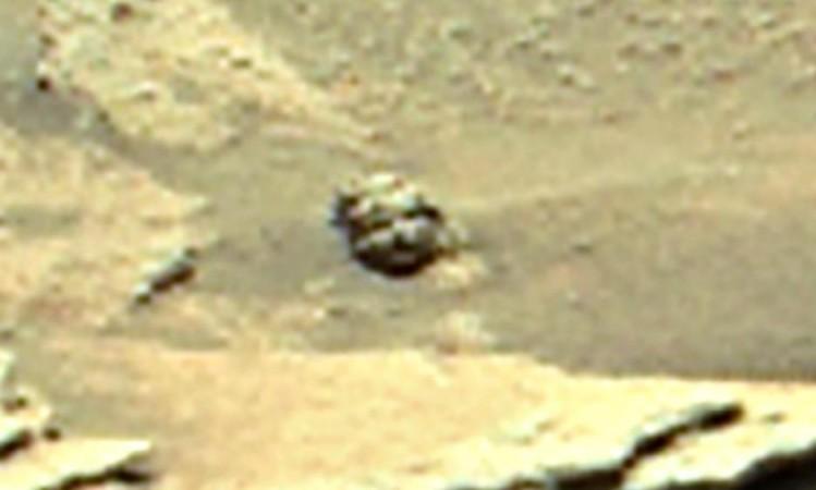 Young chubby girl's face on Mars could be proof of alien existence ...