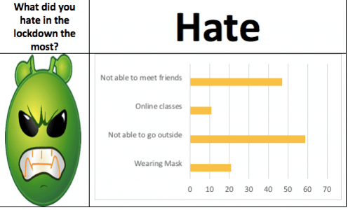 A graph from Aarav Roy's research showing what people hated during the lockdown. Aarav Roy's lockdown research