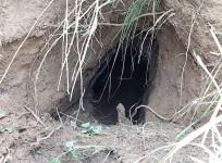 jammu kashmir border tunnel