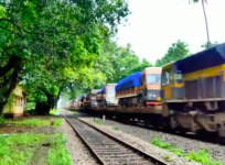 RORO train