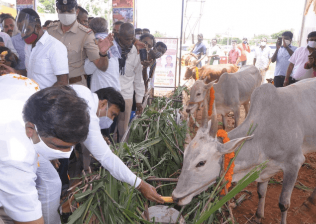 K Sudhakar inaugurates a Goshala in Chikkaballapura. K Sudhakar at Gowshala inauguration