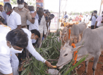 K Sudhakar at Gowshala inauguration