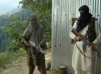 terrorists