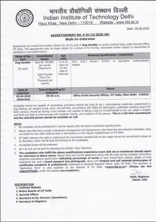 Guess what! A dog handler job at IIT Delhi can pay you upto 45,000. iit delhi job