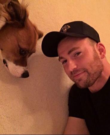 Chris Evans