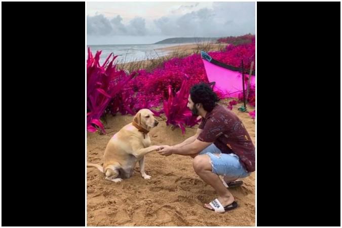 Varun Dhawan Varun Dhawan