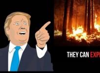 Trump things trees can explode