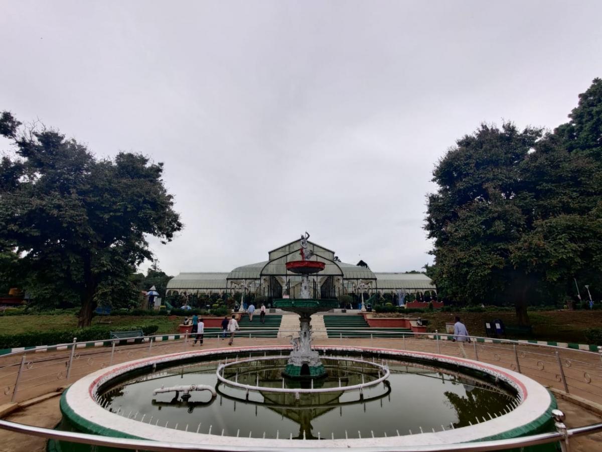 OnePlus 8 Pro camera samples OnePlus 8 Pro camera samples