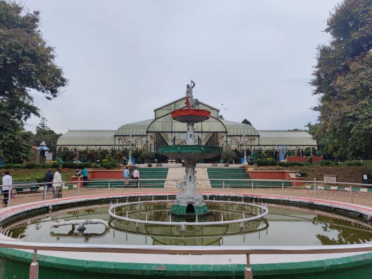 OnePlus 8 Pro camera samples OnePlus 8 Pro camera samples