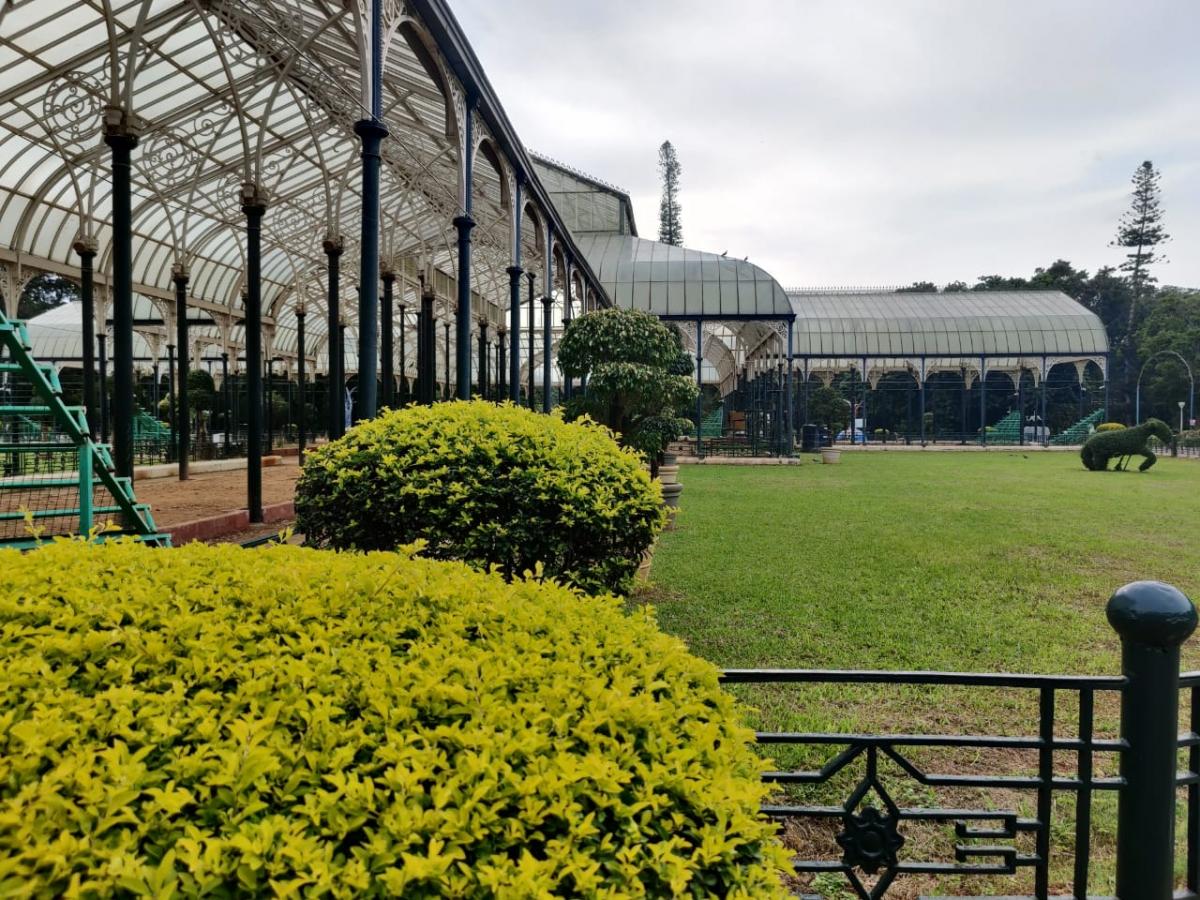 OnePlus 8 Pro camera samples OnePlus 8 Pro camera samples