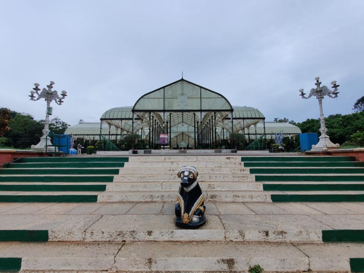 OnePlus 8 Pro camera samples OnePlus 8 Pro camera samples