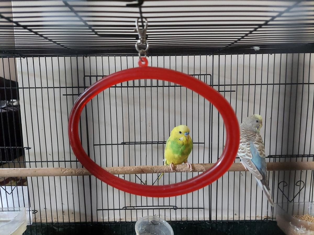 Samsung Galaxy M51 camera samples Samsung Galaxy M51 camera samples