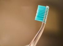 brush