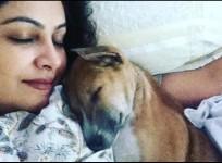 Ayesha Jhulka
