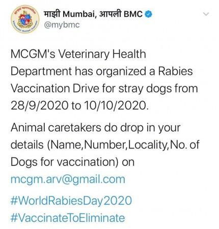 Rabies injection for dogs