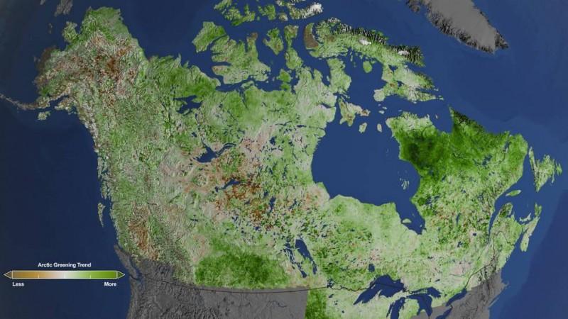 Arctic greening