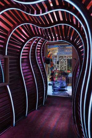 Tunnel through bathroom