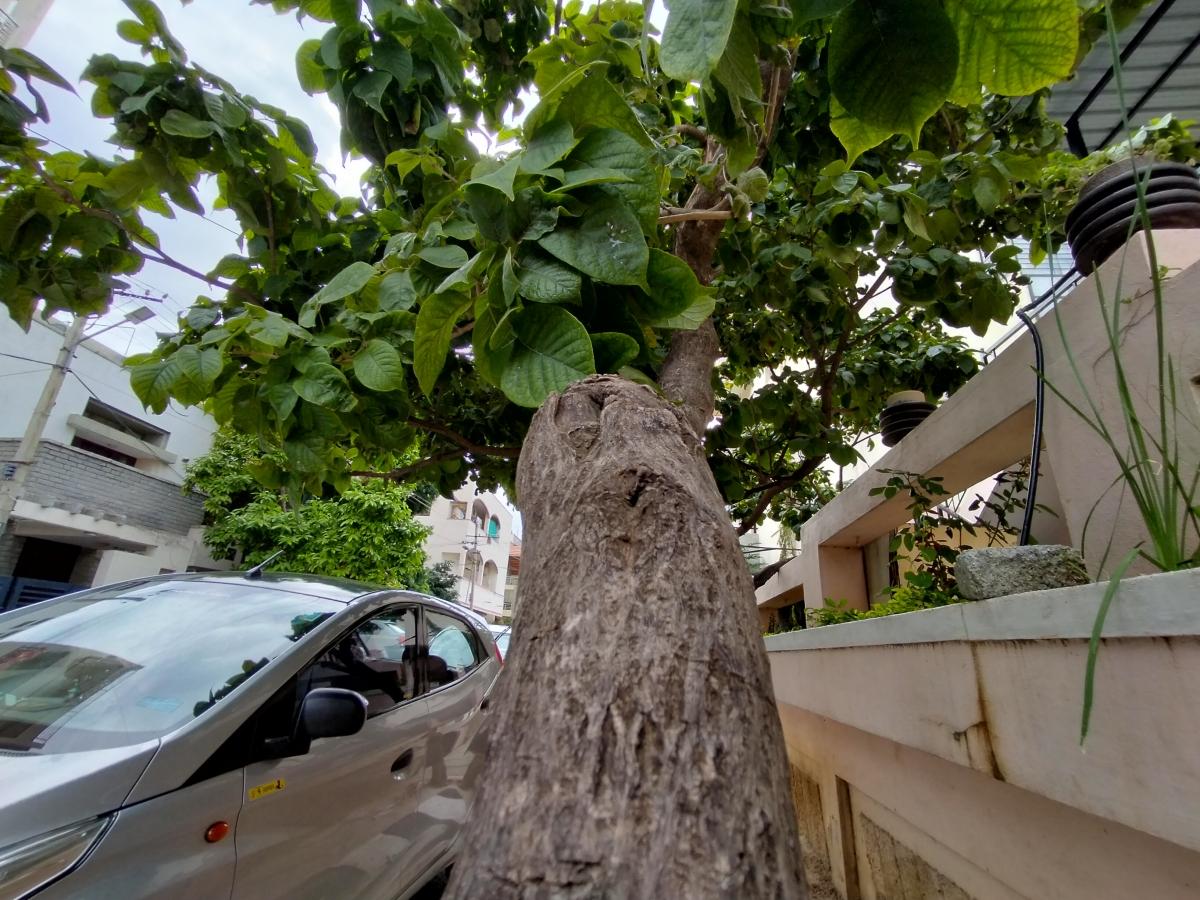 Oppo F17 camera samples