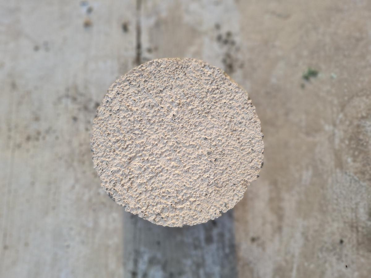 Samsung Galaxy S20 FE camera samples