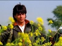raj aka srk
