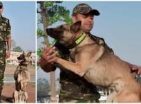 Sniffer Dog bagha