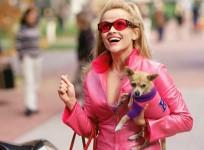 legally Blonde