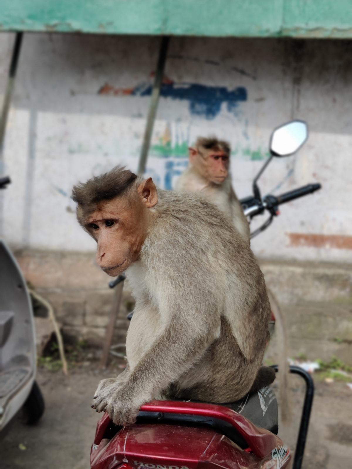 OnePlus 8T camera samples OnePlus 8T camera samples