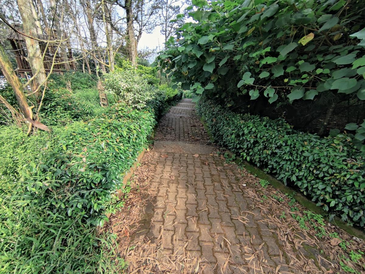 OnePlus 8T camera samples OnePlus 8T camera samples