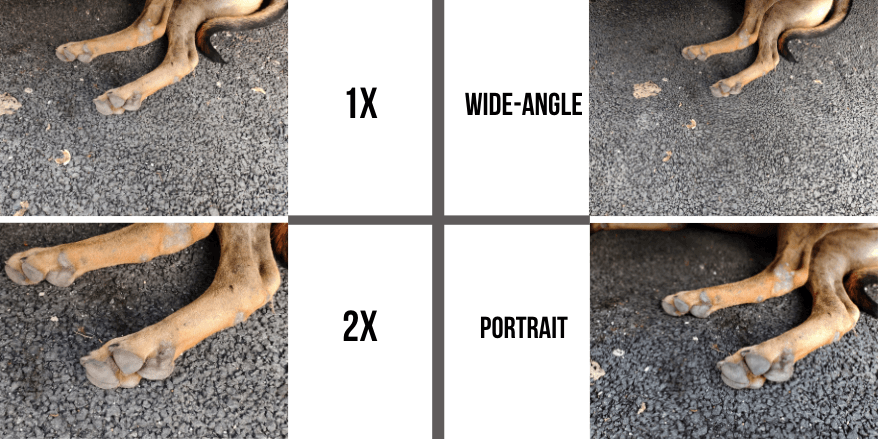 Vivo V20 camera samples Vivo V20 camera samples