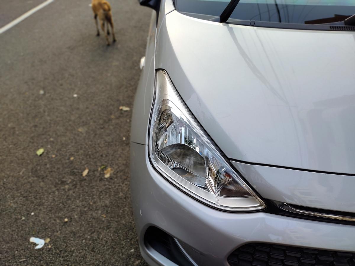 Vivo V20 camera samples Vivo V20 camera samples