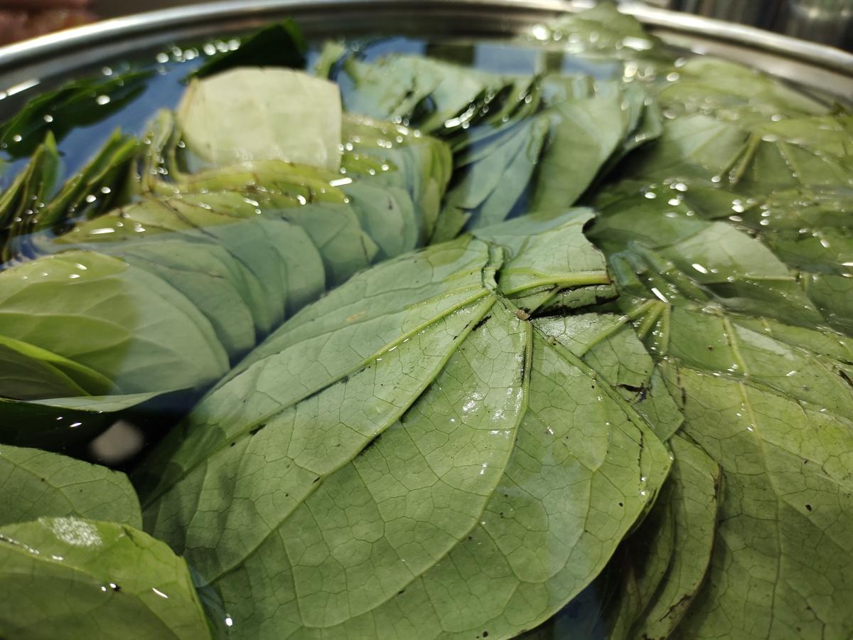 Vivo V20 camera samples Vivo V20 camera samples