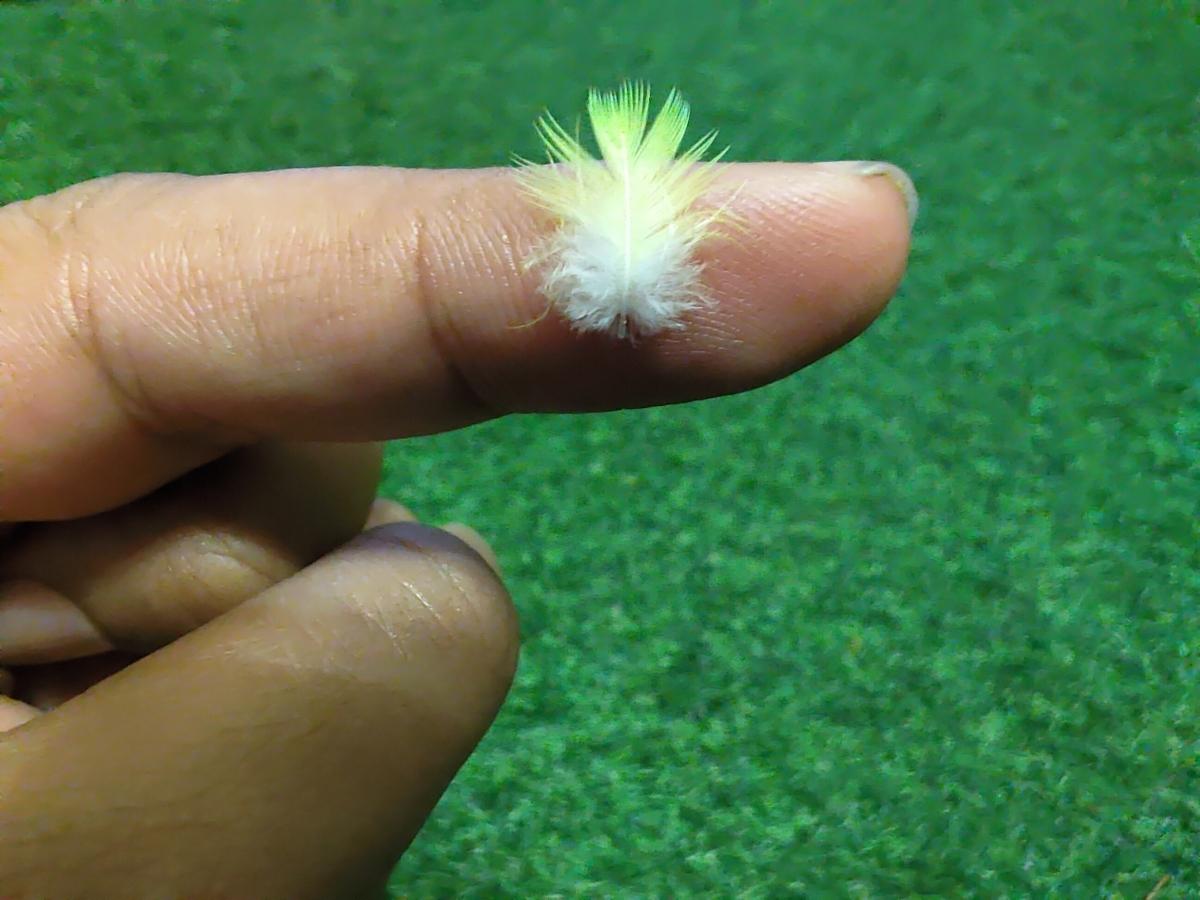 ROG Phone 3 camera samples